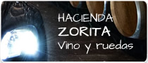 enlace1